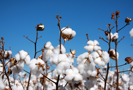 The Benefits of 100% Cotton Towels for Babies and Young Children
